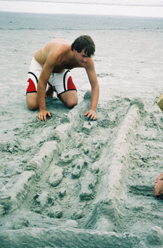 beachcastle2.jpg